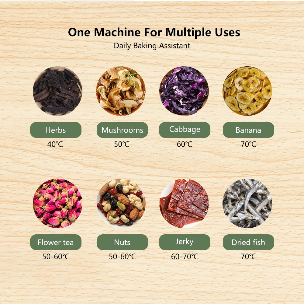 BioloMix 5-Tray Food Dehydrator | BPA-Free Digital Timer & Temperature Control - Chamberland Homes